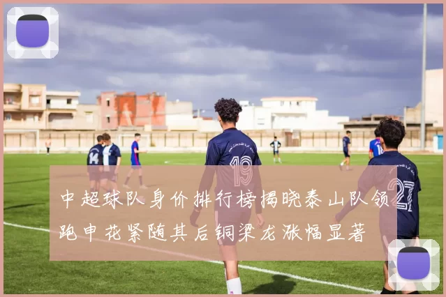 中超球队身价排行榜揭晓泰山队领跑申花紧随其后铜梁龙涨幅显著